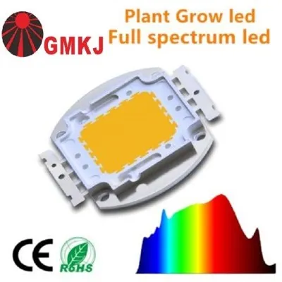 30W COB LED espectro completo para plantas suculentas luz