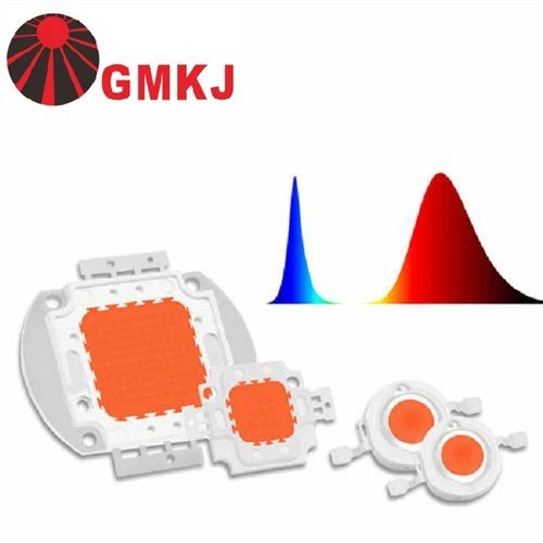 50W COB LED Espectro completo para crecer luz